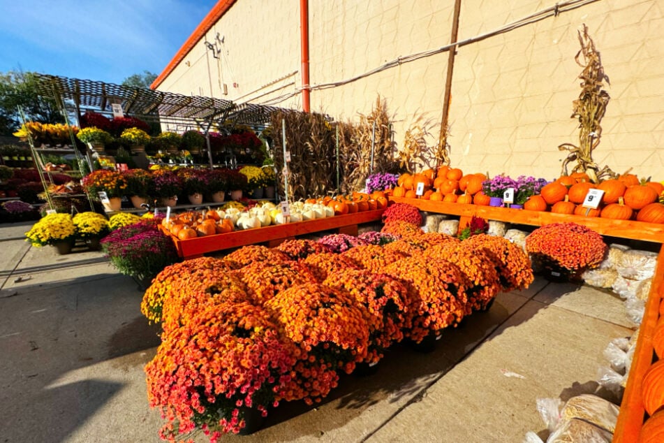 Don't miss these popular fall essentials on Wednesday, October 22 at Home Depot