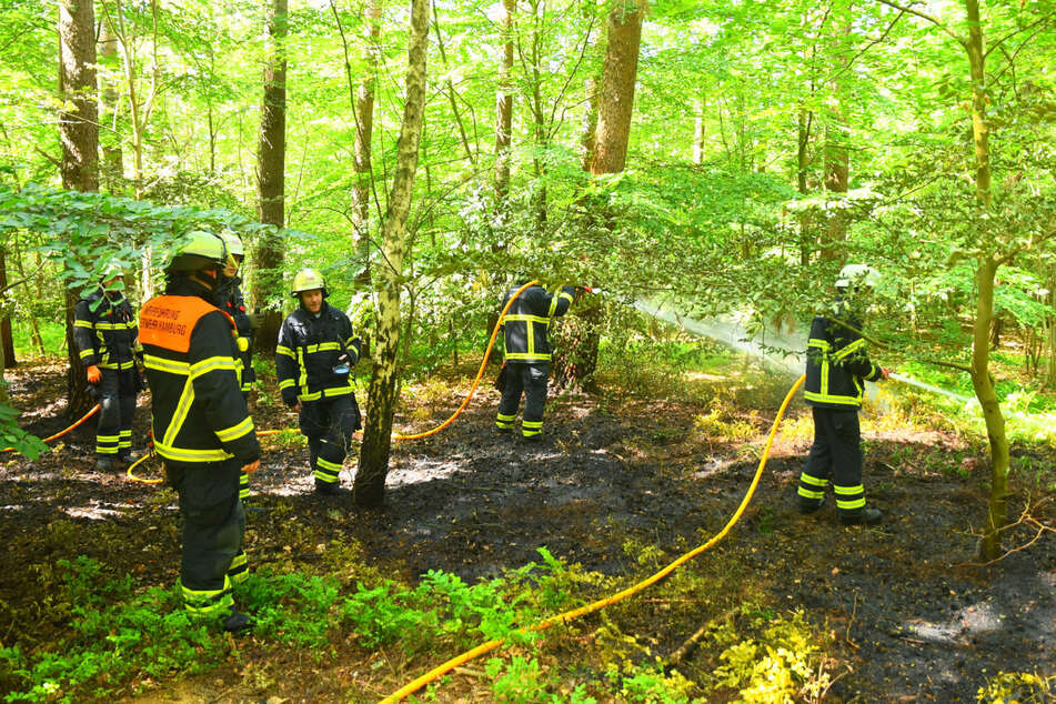 Feuerwehrleute löschen einen Waldbrand in Heimfeld.