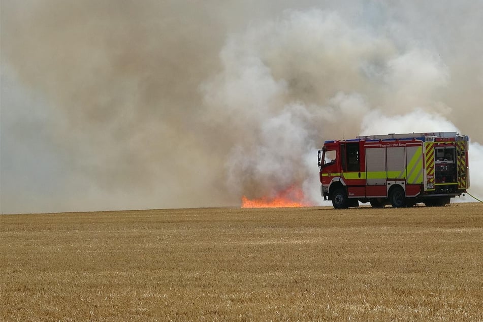 Leipzig: Zahlreiche Feuerwehren im Einsatz: 37.000 Quadratmeter Feld stehen in Flammen