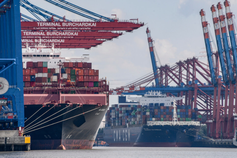 Zwei Containerfrachter werden am Hamburger Hafen entladen.