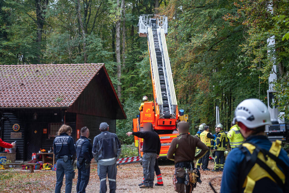 Schock bei Forst-Arbeiten: Ast fällt auf Hebebühne, 24-Jähriger stürzt ab