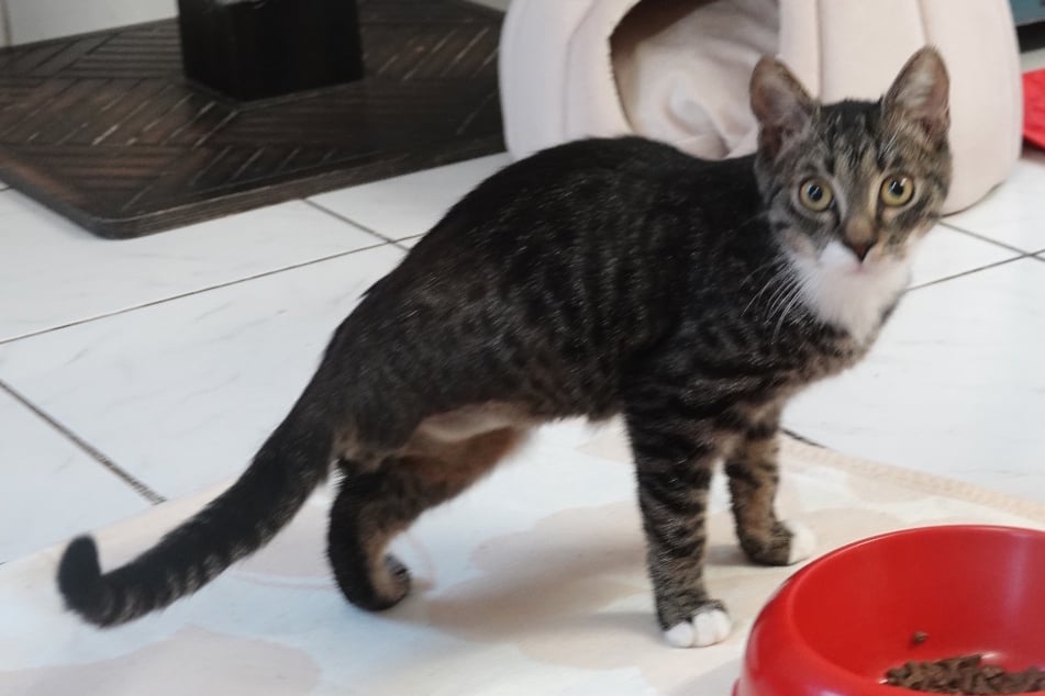 ¿Ya podrá mudarse pronto a su hogar para siempre?