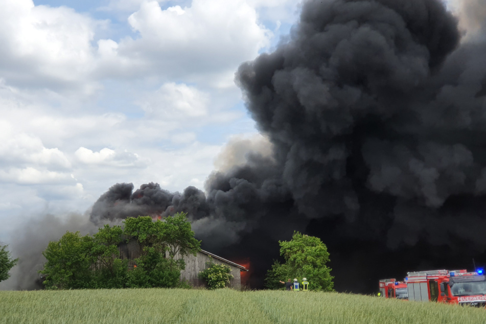 Das Feuer ist in einer Lagerhalle ausgebrochen, in dem die Puten gezüchtet wurden.