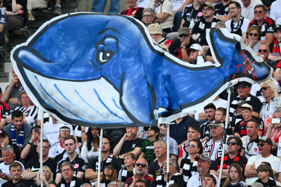 Unter anderem präsentierten die SGE-Anhänger einen selbstgebastelten Wal - offenbar eine Anspielung auf Buckelwal "Timmy".