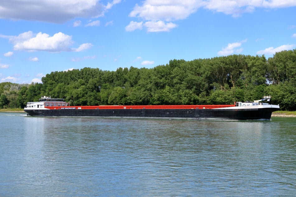 Schiffsunfall auf dem Rhein: 100-Meter-Kahn kracht in Segelhafen