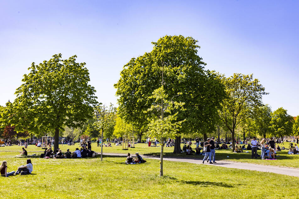 Ein Mann mit Softair-Waffe in der Hand hat am Donnerstag einen Polizeieinsatz im Alaunpark ausgelöst. (Symbolbild)