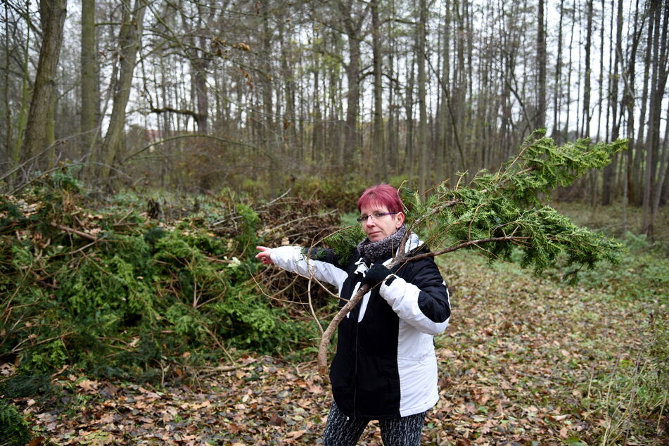 Silke Kaiser zeigt den Haufen mit den illegal abgelegten Eiben-Ästen. Der Täter muss ortskundig gewesen sein.