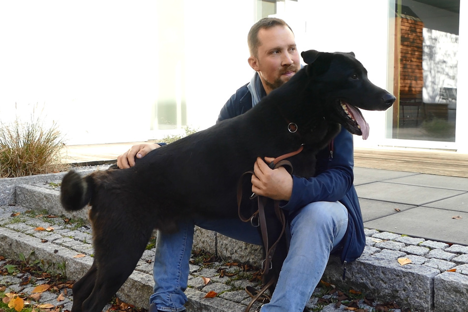 Hundetrainer Andreas Klarl wird die Vermittlung von Lucky begleiten und seine Halter auch in Zukunft gerne unterstützen.