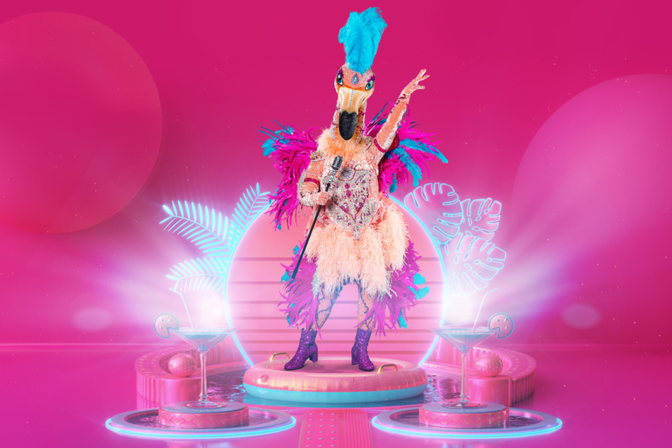 Der Flamingo sorgt bei den "The Masked Singer"-Zuschauern für Uneinigkeit.