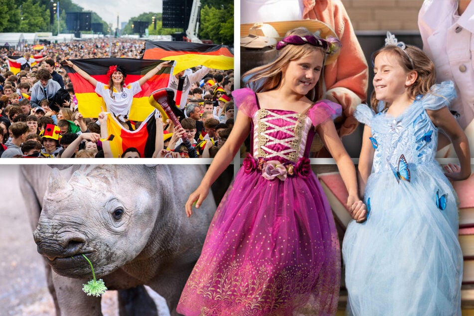 Diese tollen Veranstaltungen warten am Wochenende in Magdeburg auf Euch