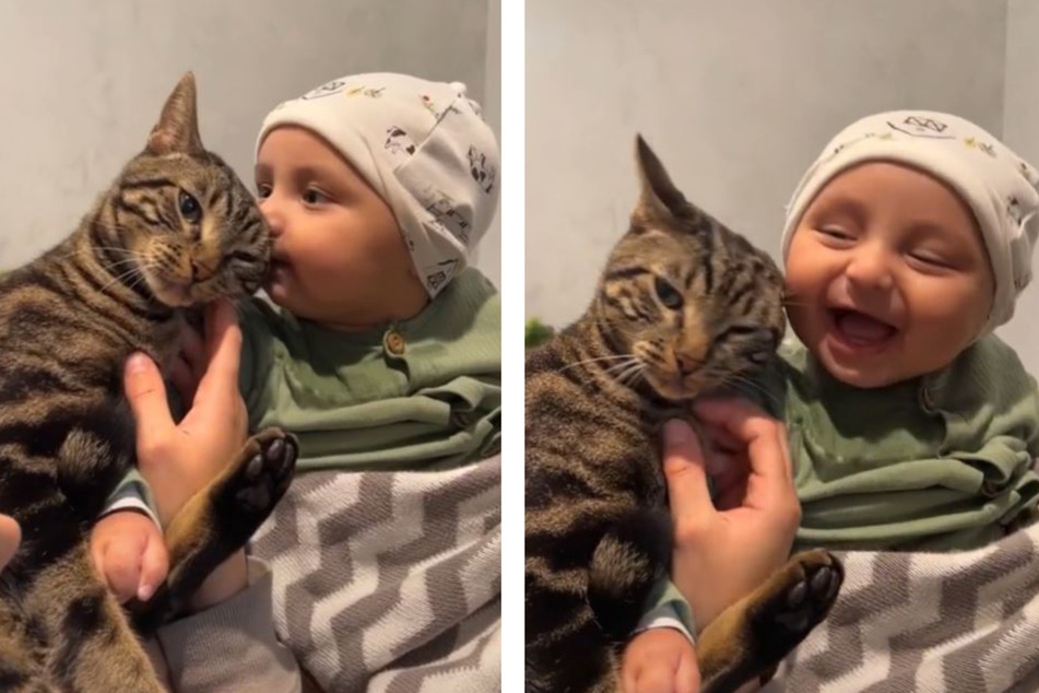 Chase kann sich über ein Küsschen freuen - das Baby tut es in jedem Fall.