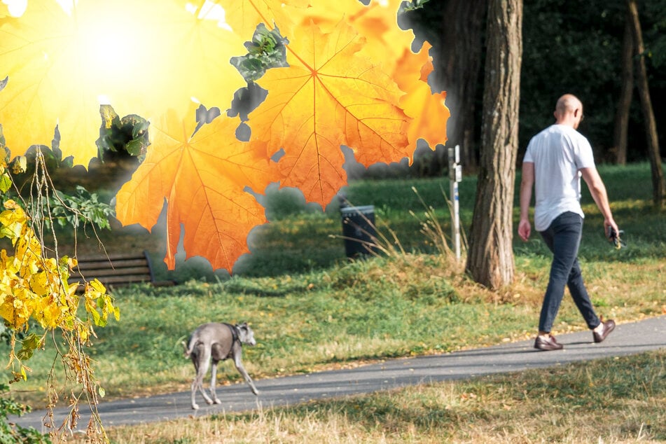 Sommer-Comeback statt Herbstmodus? Wettermodell prophezeit über 30 Grad für den Oktober