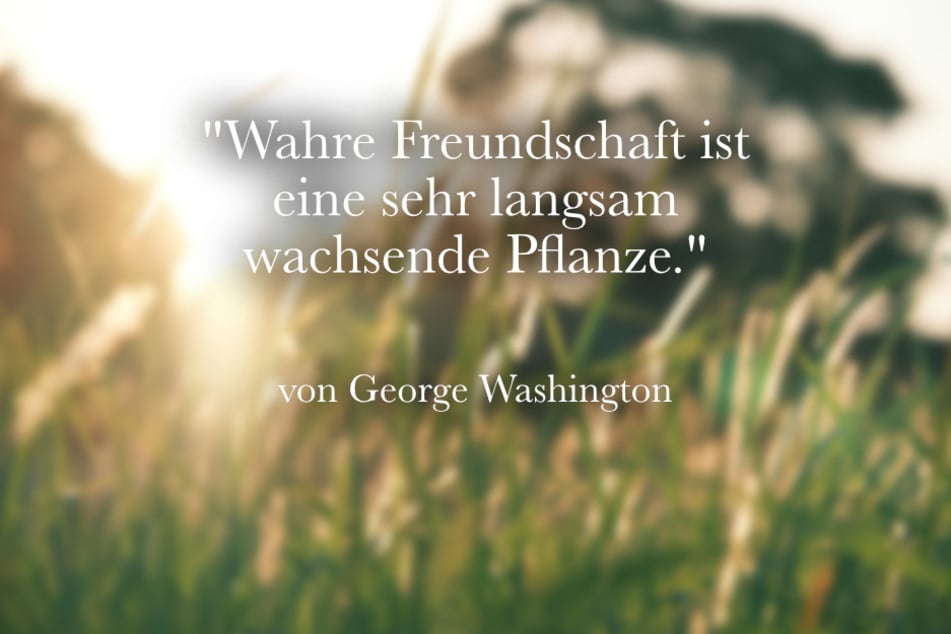 Schöne Worte von George Washington sind: "Wahre Freundschaft ist eine sehr langsam wachsende Pflanze."