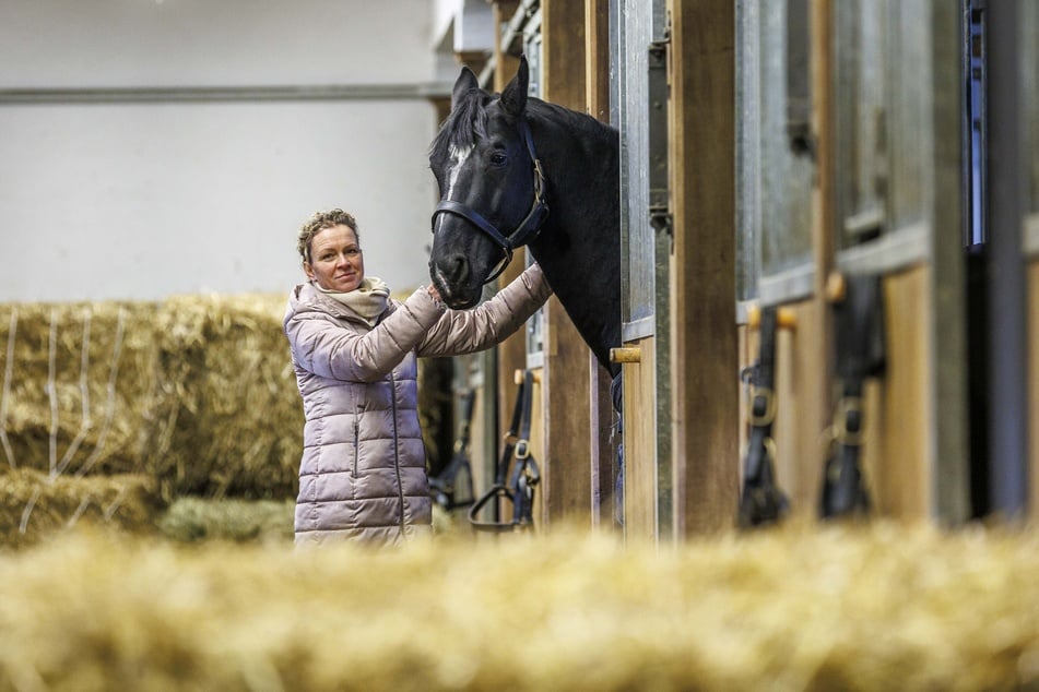 Landstallmeisterin Kati Schöpke (45) im Stall bei einem Moritzburger Zuchthengst.