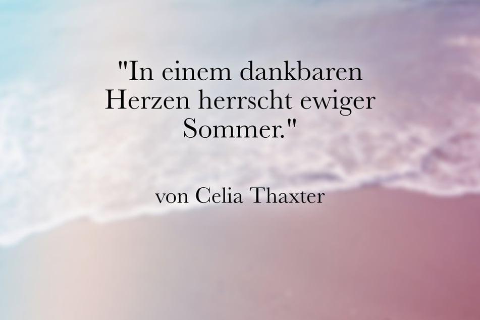 Dieses kurze Zitat zum Sommer stammt von Celia Thaxter.