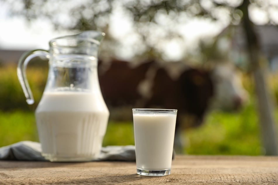 Die Betroffenen gaben an, vor ihrer Erkrankung nicht pasteurisierte Rohmilch getrunken zu haben. (Symbolfoto)