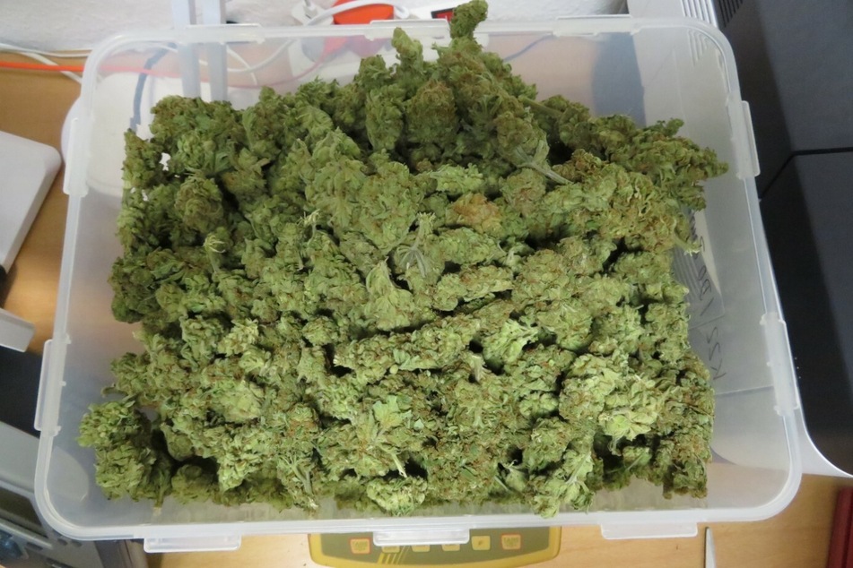 Ein Kilo Marihuana fanden die Beamten in Hoyerswerda.
