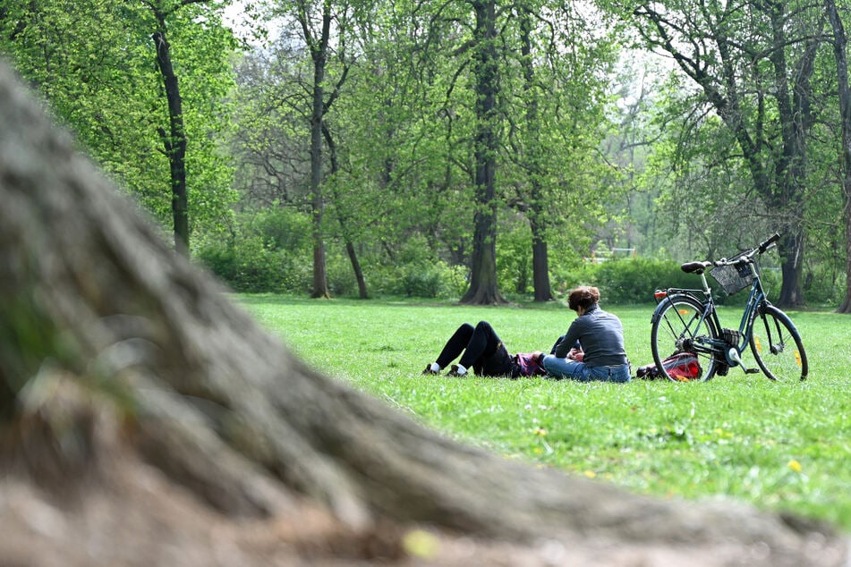 Sachsen kann zum Wochenstart ordentlich Sonne tanken!