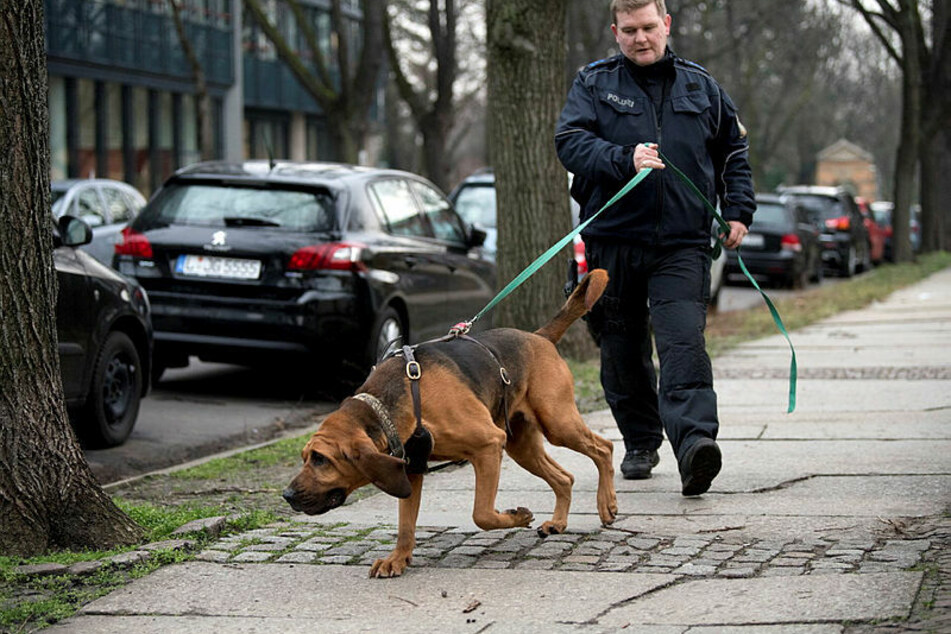 Sachsens Polizei ist stolz auf die Mantrailer. Viele Staaten setzen sie nicht ein, weil sie die Schnüffelei unseriös finden.