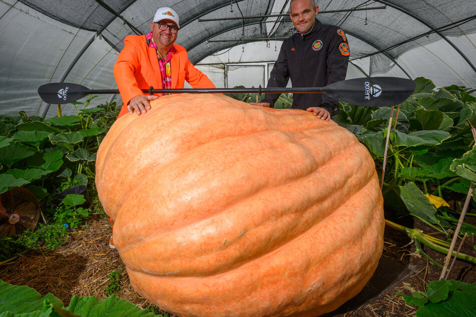 Oliver Langheim ist Moderator und Wiegemeister der Wttemisterschaft in Klaistow und selbst ehemaliger Riesenkürbis-Züchter.