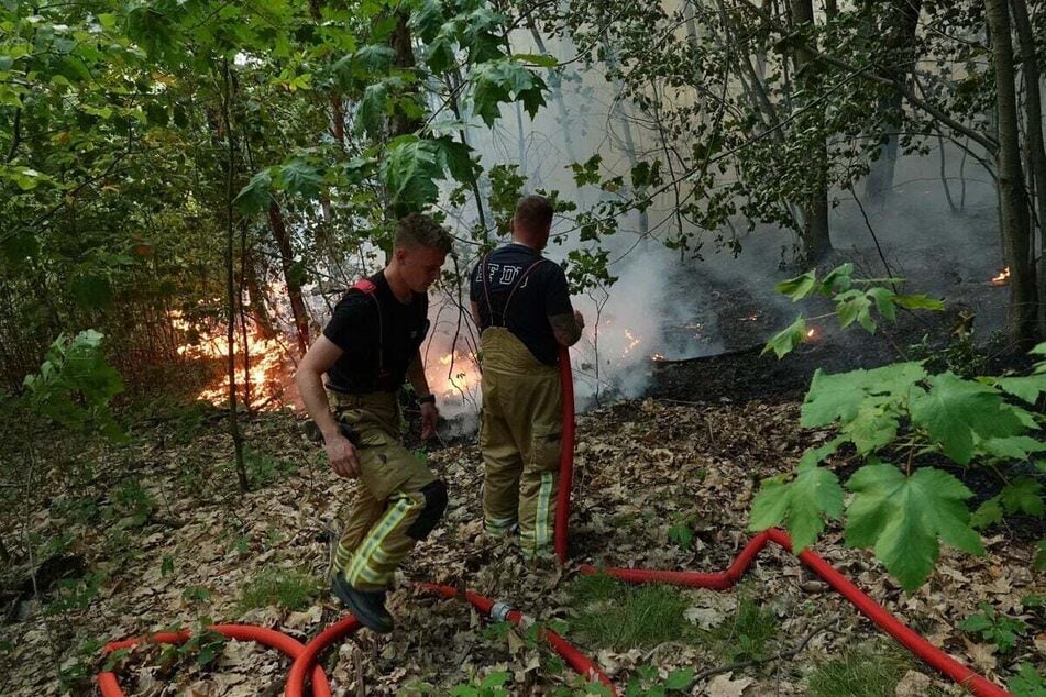 Mit einer über 1000 Meter langen Schlauchleitung löschten Feuerwehrleute den Brand.