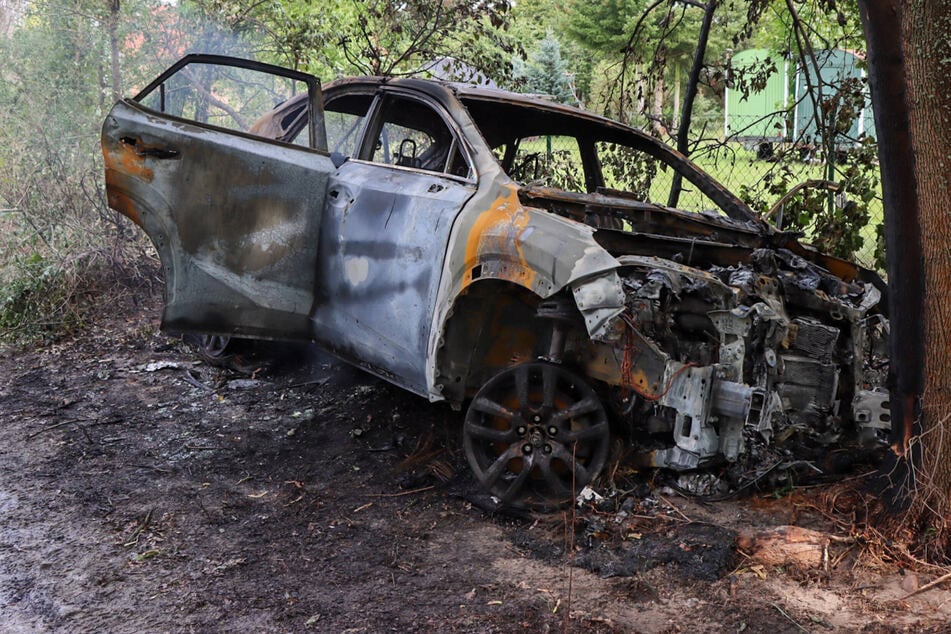Verfolgungsjagd endet am Baum: Lexus geht in Flammen auf