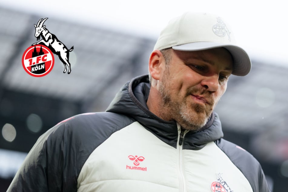 Wegen verstorbenem FC-Köln-Fan (†90): Trainer Lukas Kwasniok bittet um Verzeihung