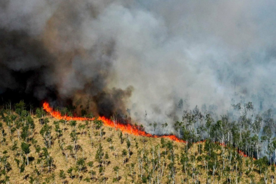 Blick auf eine Rauchwolke während eines Waldbrandes im Loben-Moor zwischen Gorden-Staupitz, Hohenleipisch und Plessa.