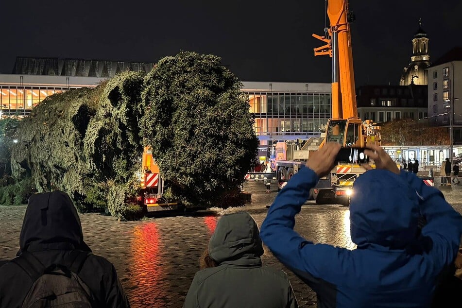 Dann musste sich der Baum mal kräftig in die Höhe strecken.