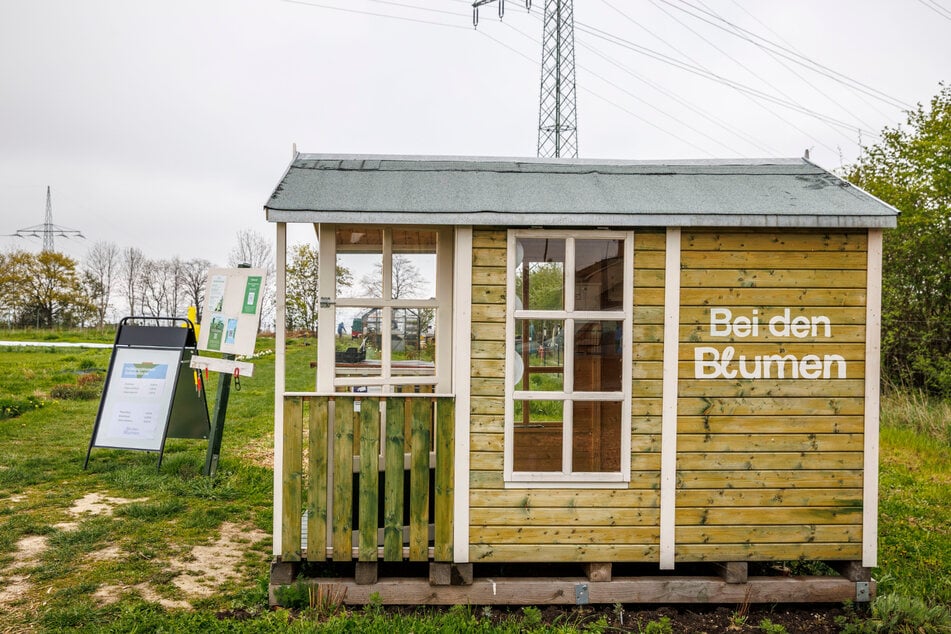 In der Blumenhütte gibt es eine kleine Auswahl regionaler Dinge zu erstehen.