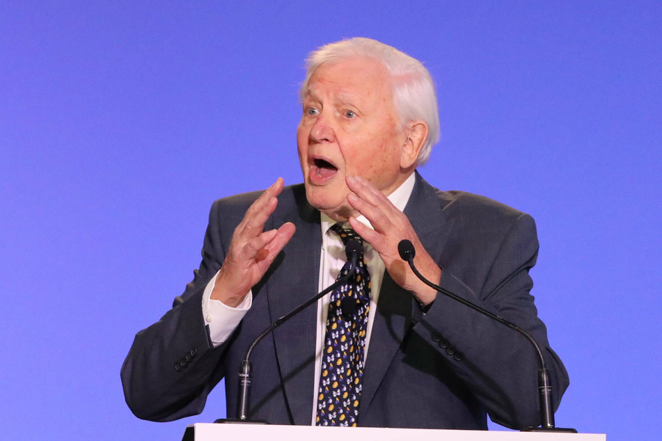 David Attenborough named Champion of the Earth by UN!
