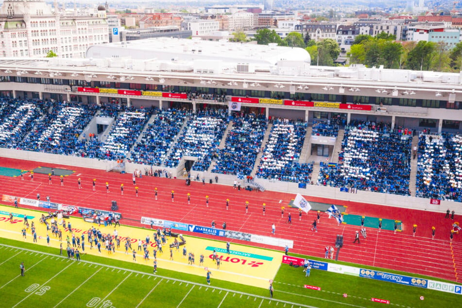 Zum SachsenEnergie Gameday wollen die Dresden Monarchs im heimischen Heinz-Steyer Stadion punkten.