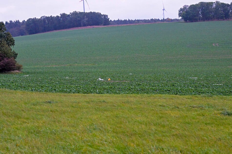 Die Trümmer landeten auf einem Feld.