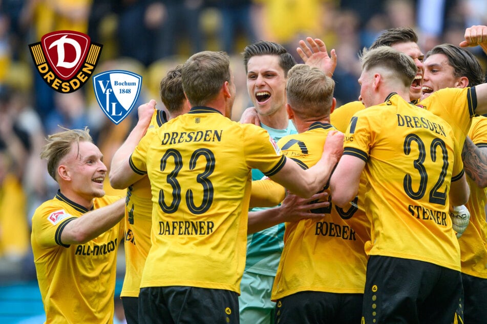 Viermal die Bestnote: So steigt Dynamo zu 100 Prozent nicht ab!