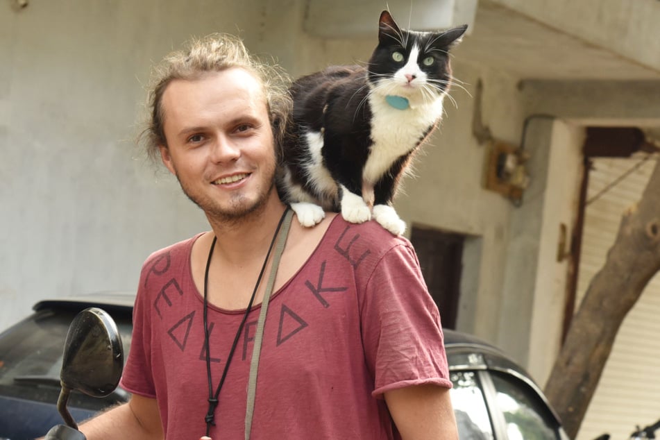 Moglis kuriose Reise: Katze führt abenteuerliches Leben