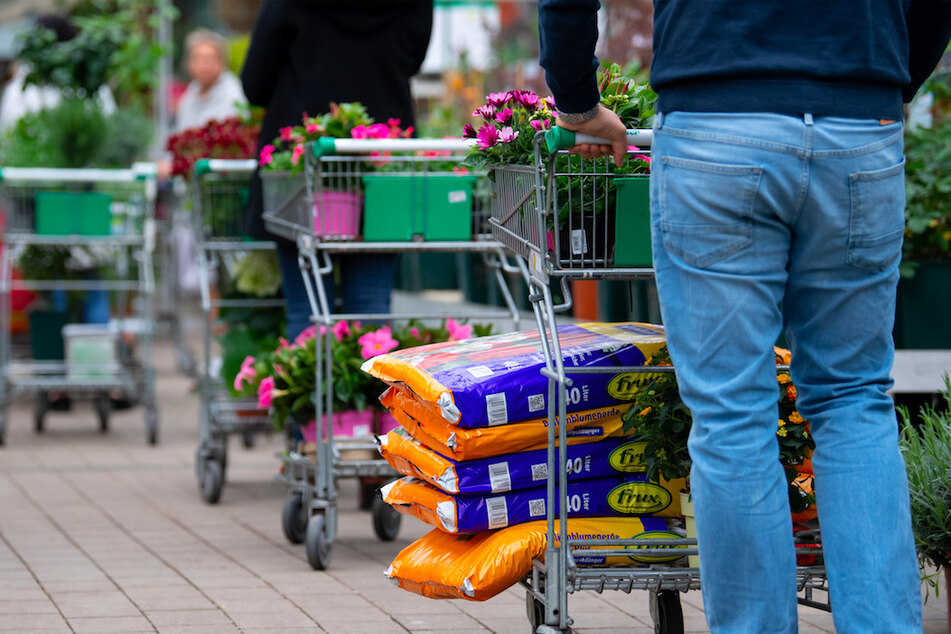 In Baumärkten rechnet man zum Frühlingsanfang nun mit einem großen Kundenandrang.