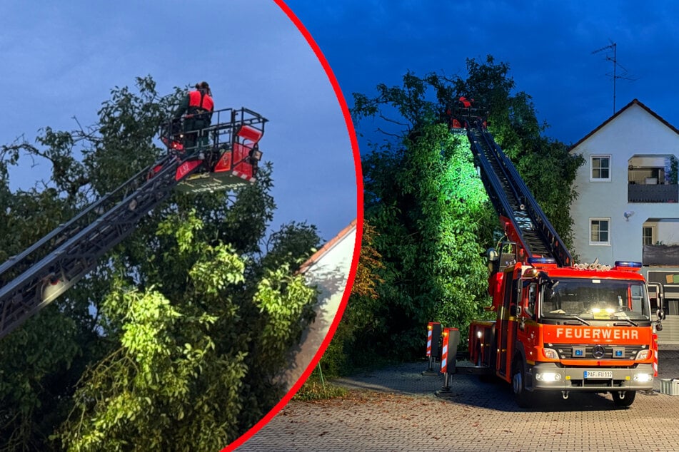 Unwetter wütet in Bayern: Tonnenschwerer Baum stürzt auf Haus, Spezialkran muss anrücken