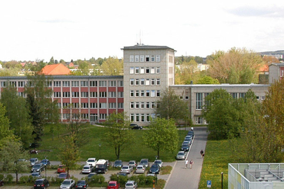 Ein Teil der Fläche zwischen dem Turmbau und dem Parkplatz soll ebenfalls zur Blühwiese werden.