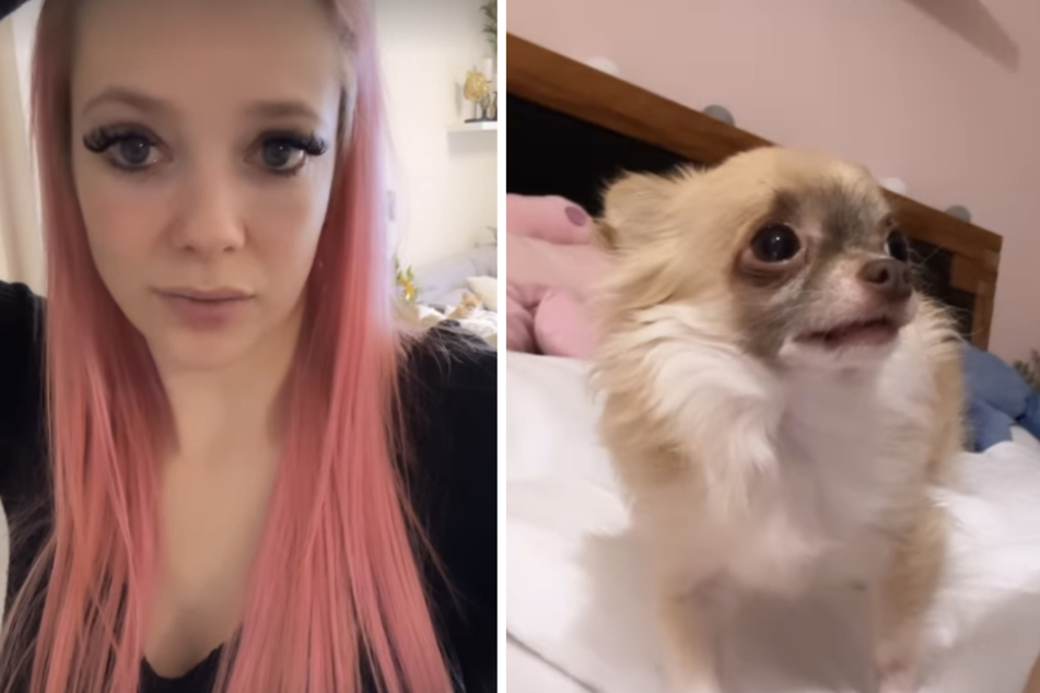 Anne Wünsche (32) ist um ihren geliebten Chihuahua Spot in Sorge.