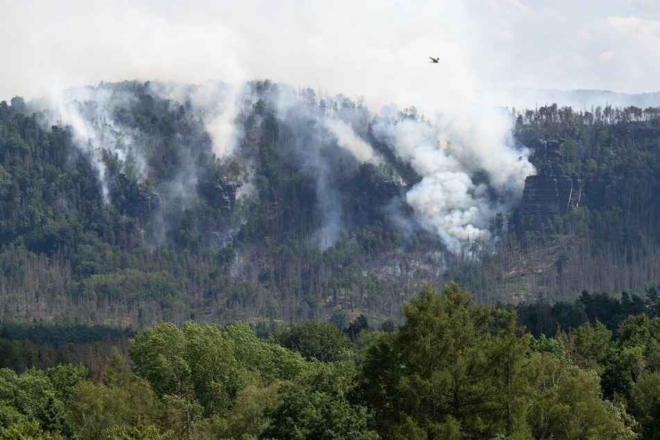 Der Wald brennt im Nationalpark Sächsische Schweiz. Das Landratsamt teilte am Dienstagnachmittag mit, dass das Betreten der Wälder für die nächsten 24 Stunden untersagt sein wird.