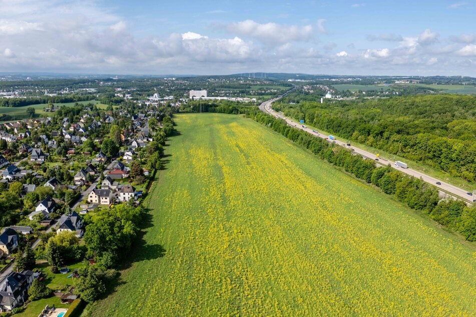 Auf dieser Fläche zwischen Wohnsiedlung und Autobahn soll die Photovoltaikanlage entstehen - die Nähe zu den Häusern hatte den Protest ausgelöst.
