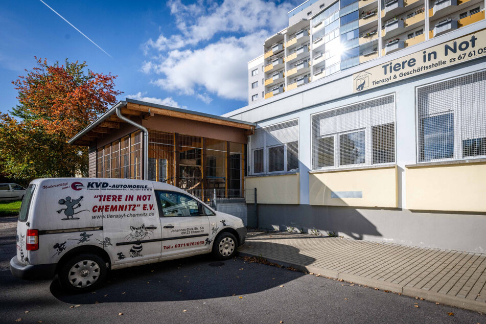 Im Chemnitzer Tierasyl wurde ein Aufnahmestopp verhängt.