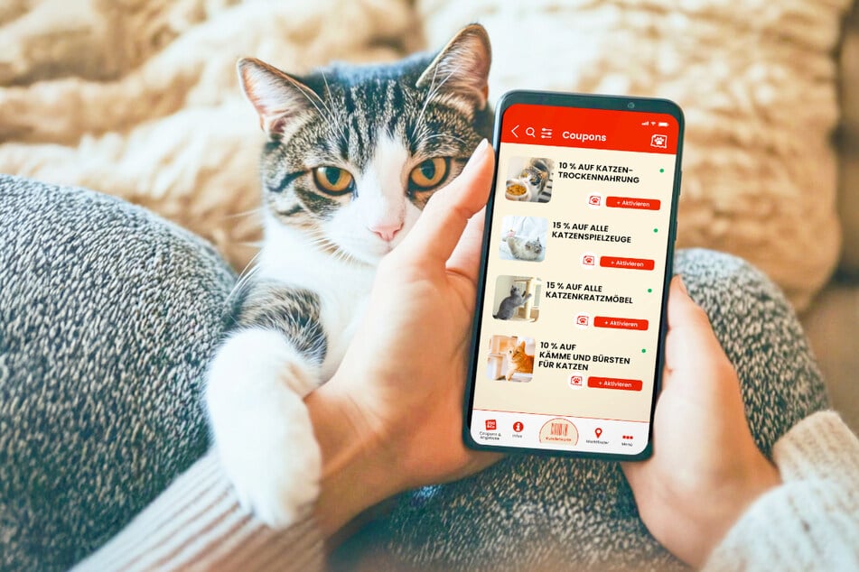 Wer diesen Tier-Shop nur digital kennt, sollte zur Filialeröffnung kommen