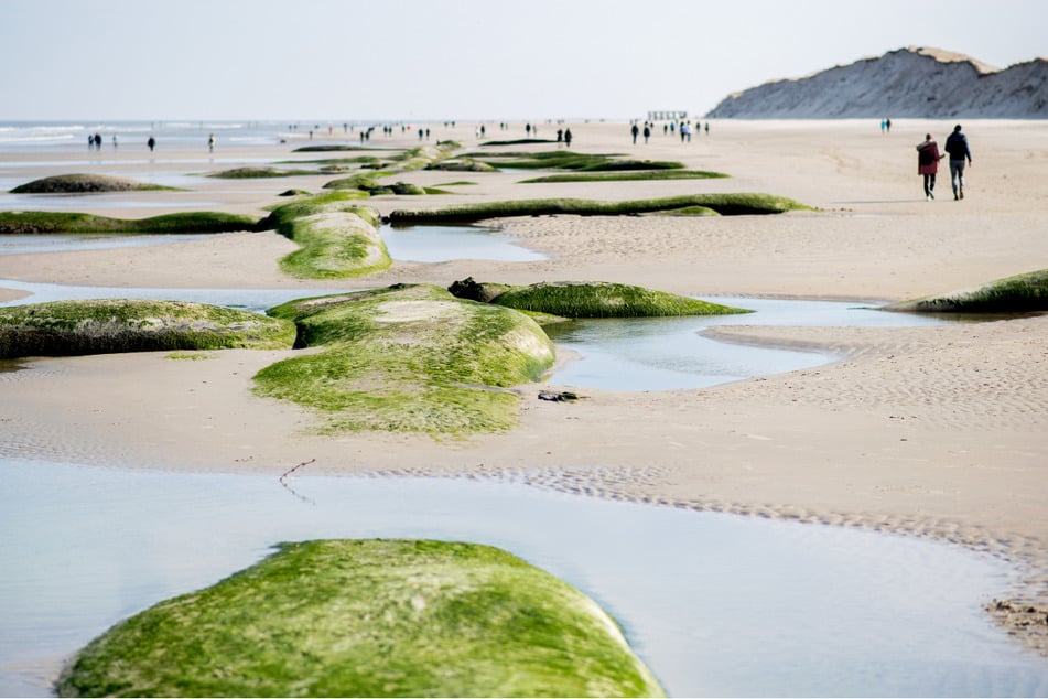 Leiche am Strand von Norderney gefunden: Todesursache steht fest