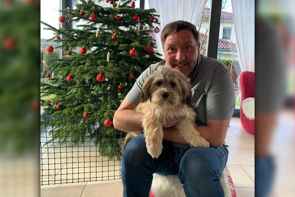 Thomas Böttcher (56) kann seine Hundedame Lilu nur mit einem Zaun vom Weihnachtsbaum fern halten.