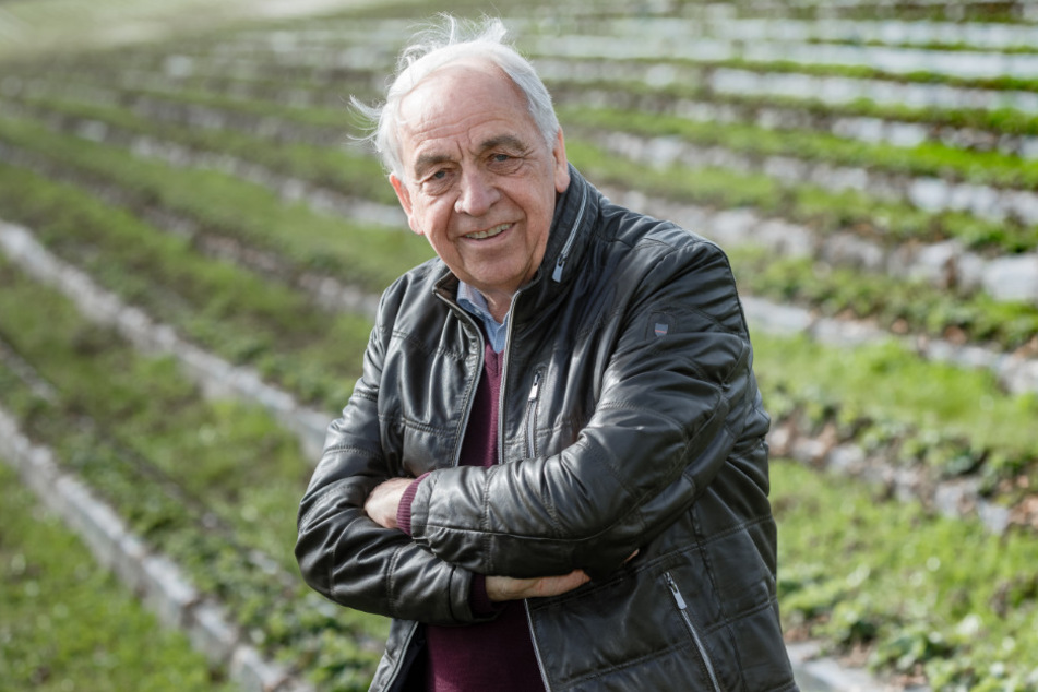 Erdbeerbauer Enno Glantz steht auf einem seiner Felder.