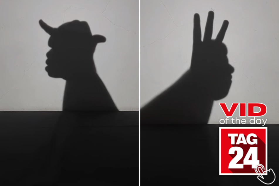 Today's Viral Video of the Day features an incredible display of hand shadow puppets by a TikTok user who couldn't fall asleep!