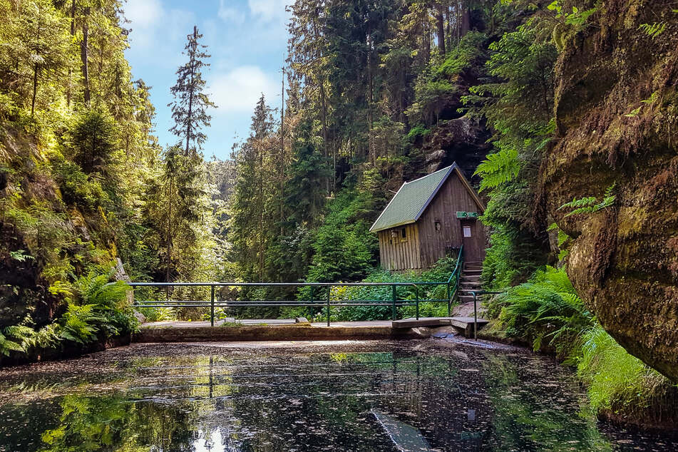 Die Kirnitzschklamm ist eine malerische Schlucht im Elbsandsteingebirge.
