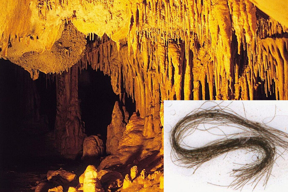 Forscher finden 3000 Jahre alte Haare und testen sie auf Drogen: Ergebnis positiv!