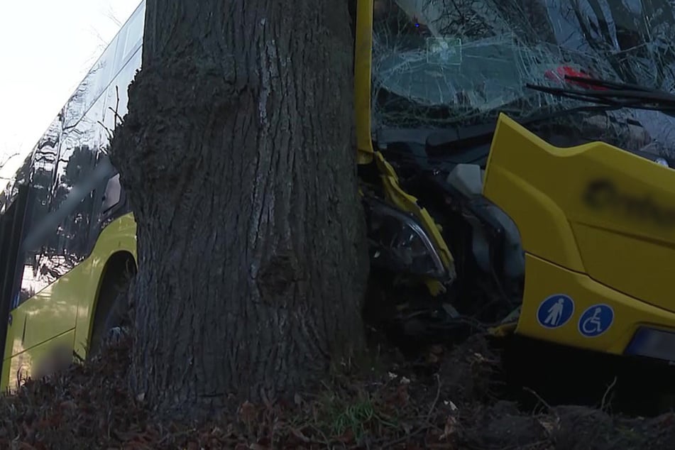 Linienbus kracht gegen Baum: Stundenlange Sperrung und sieben Verletzte